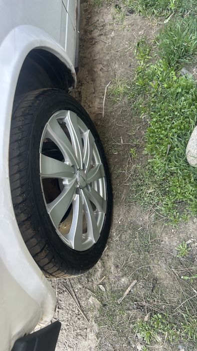 Ромашка торус воссен blak edition