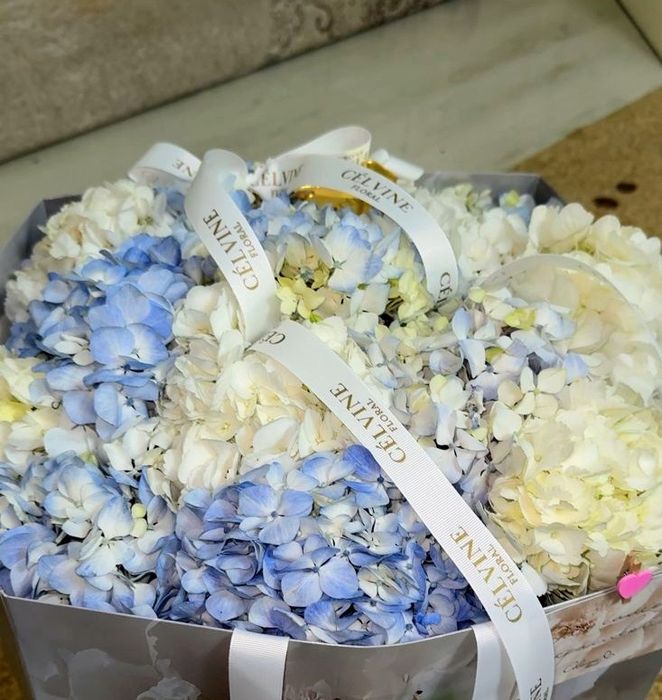 Цветы цветы цветы