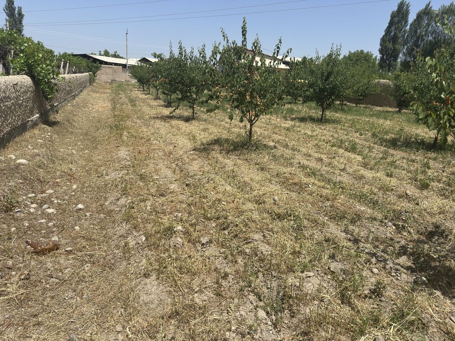 Yer uchastka(chek)sotiladi