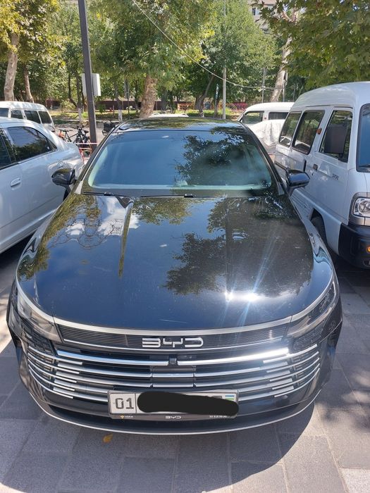 Byd chazor gibrit