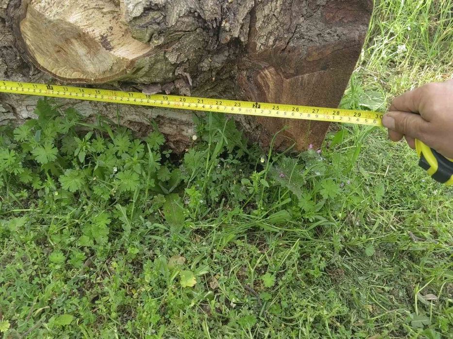 Дървен материал орех