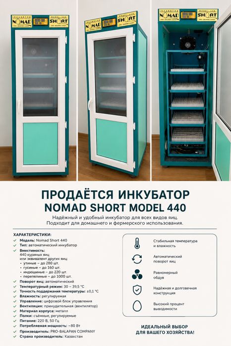 Инкубатор для яиц