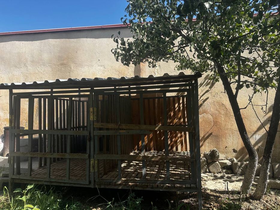 Qoʻylar uchun qoʻyxona sotiladi arzon narxlarda