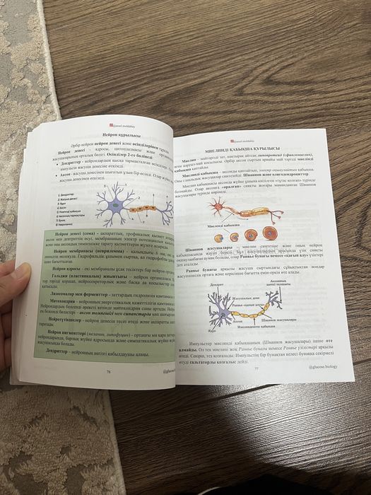 Книга Glucose по биологии