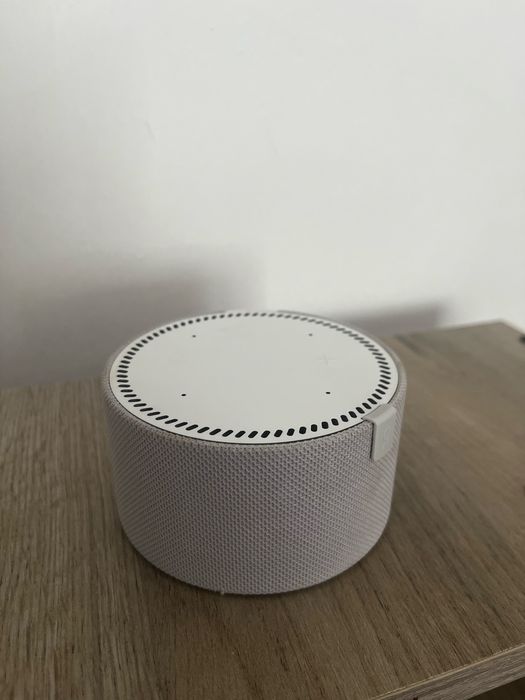 Разговорчивый Алиса