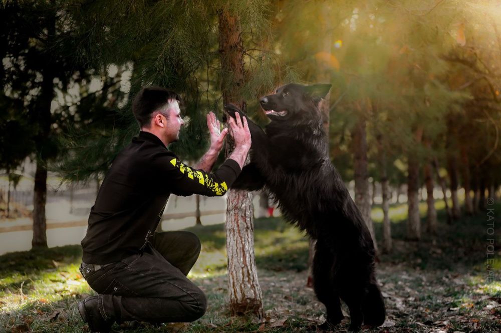 Передержка животных! Любовь и забота о вашем питомце!