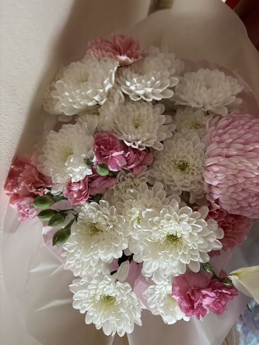 Хризантемы свежие