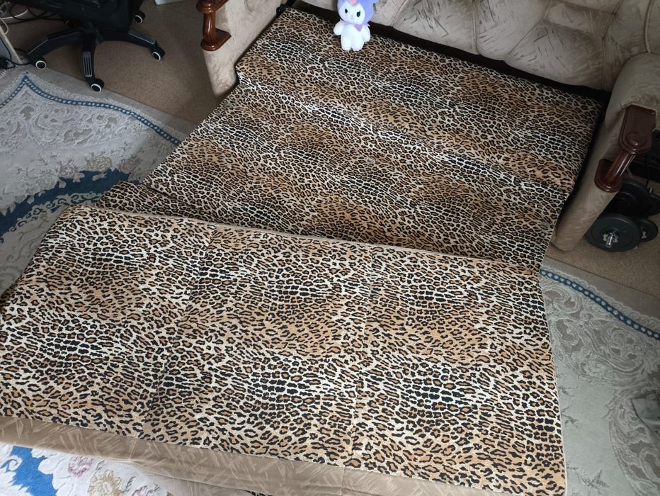 Раскладной диван и раскладные, раскладной кресла