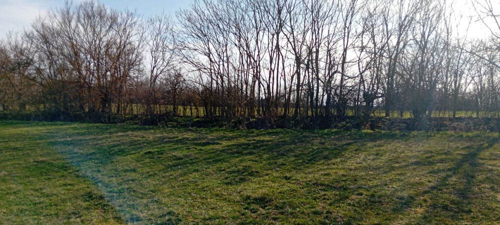 Продава се Парцел в Варна, Базар Левски - 1380 кв.м за 6 €/кв.м - Снимка #4