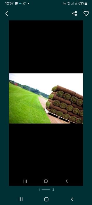 Газон экиш Автополивное система и газон