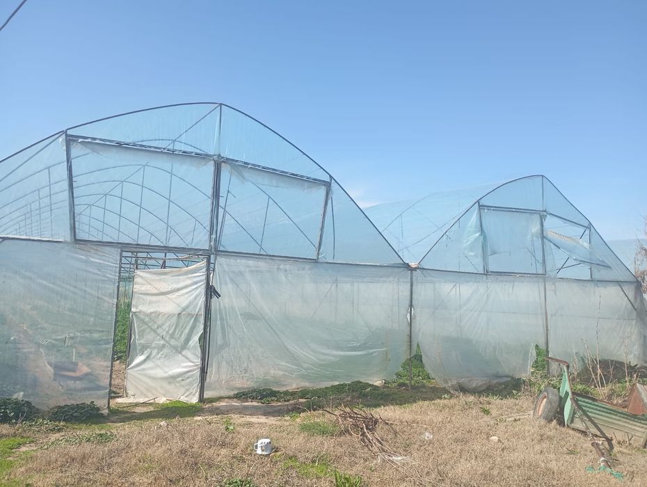 Теплицасатыладытььть