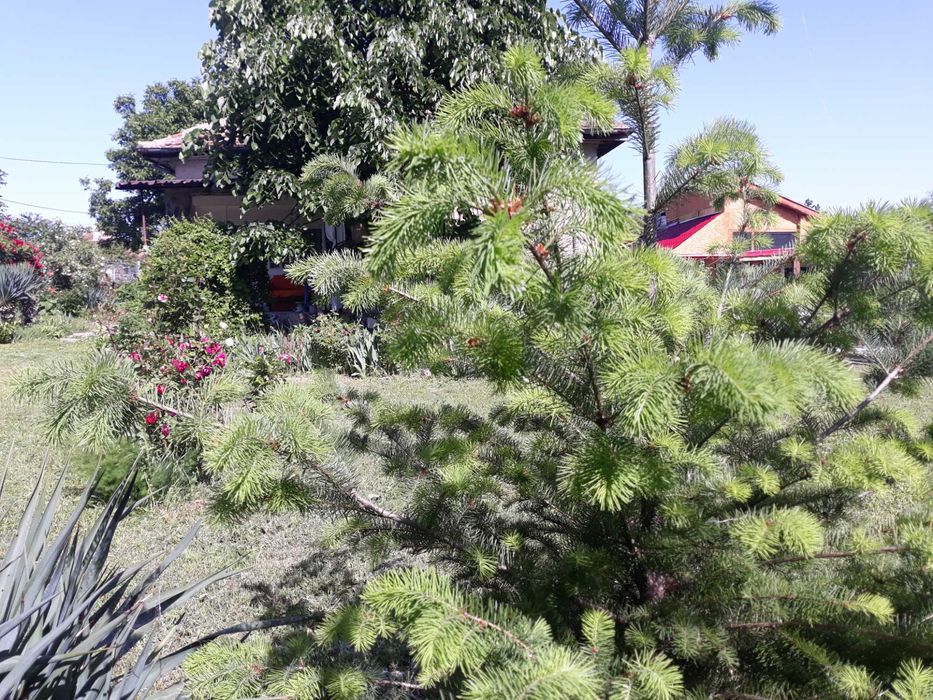 Дава се под наем Къща в Видин, Калето - 130 кв.м за 368.73 € - Снимка #8