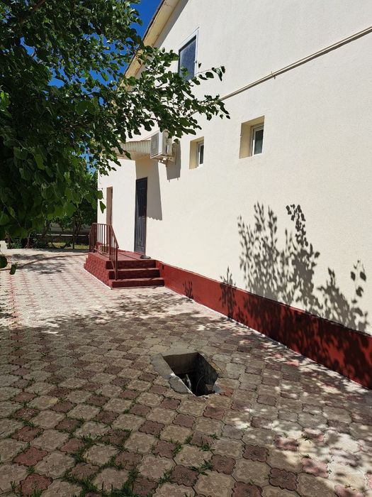 Srochna Kotej sotiladi