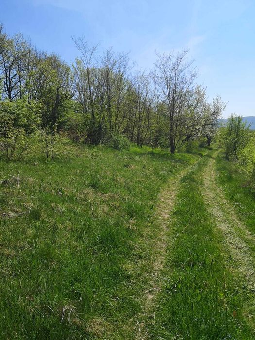 Vand teren intravilan Orsova, jud. Mehedinti