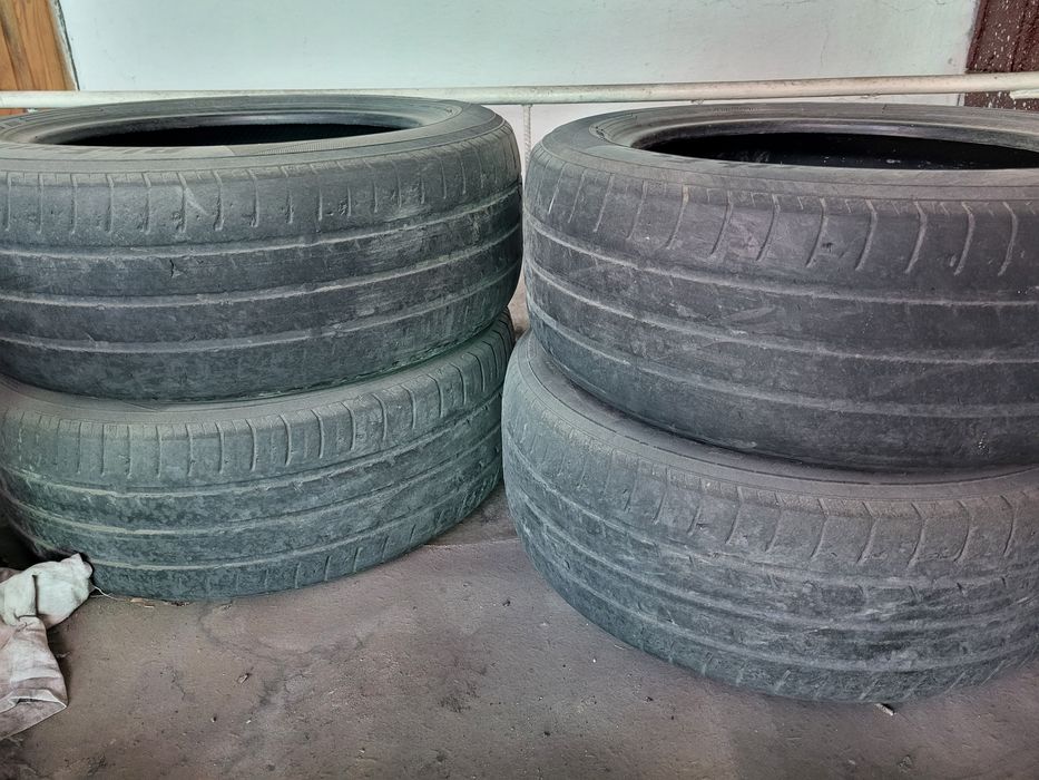 Bsbbzhshshebeysyssvevshsshsh