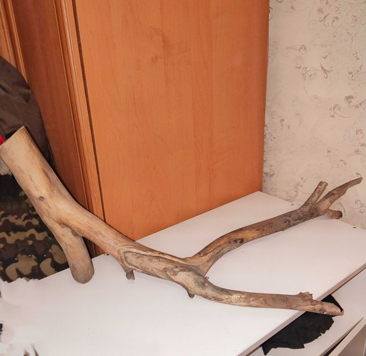 Коряга в аквариум большая