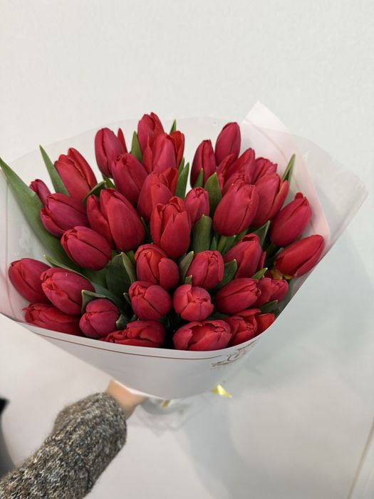 Тюльпаны продам. Красивые, качественные, в розницу