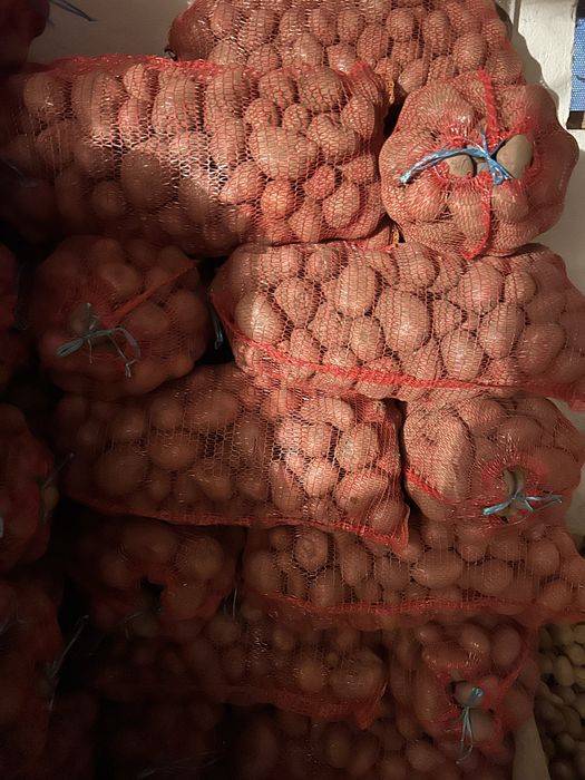 Cartofi rosii  de consum pret negociabil