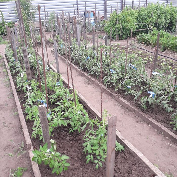 Продам дачу с.о.Пригородное
