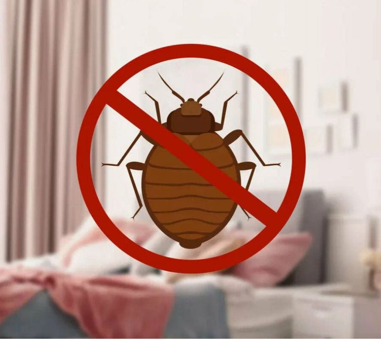 Термиты, клопы, тараканы