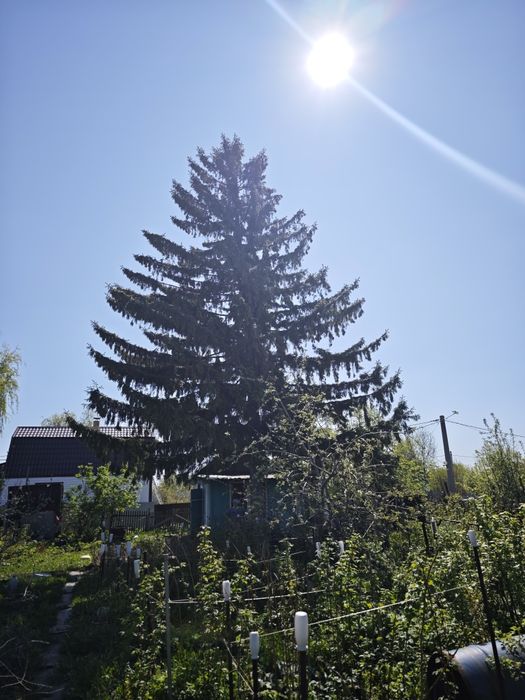 Дача . Пестрое. Спутник 1