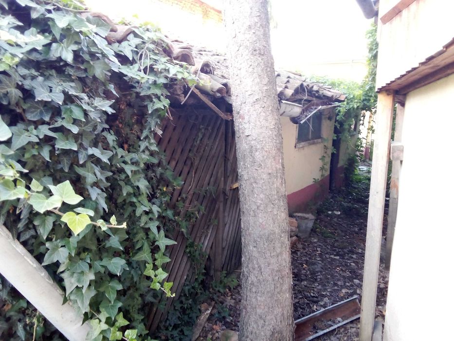 Продава се Къща в Силистра, Център - 254 кв.м за 321 €/кв.м - Снимка #6