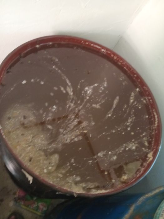 Vand miere salacam si rapita