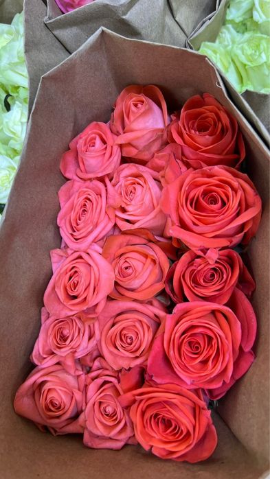 Сирень, розы, пионы все по оптовой цене