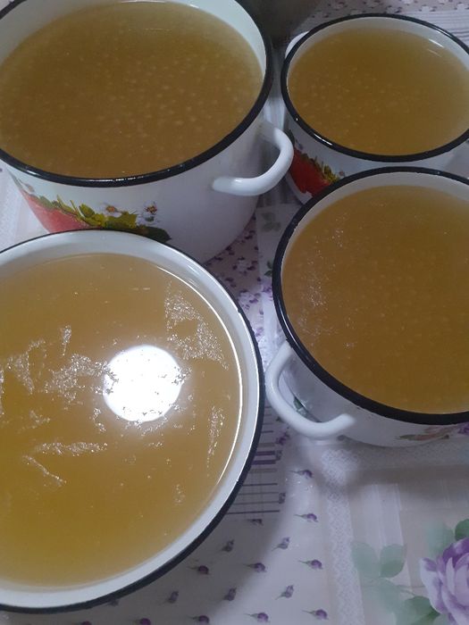 Натуральный Костный бульон