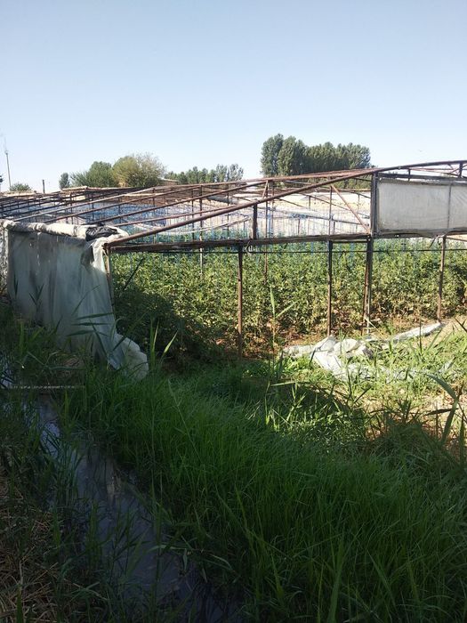 Nazarbek turkiston 9 sotix  63000 $ga