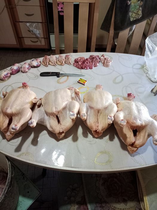 Мясо молодых бройлеров