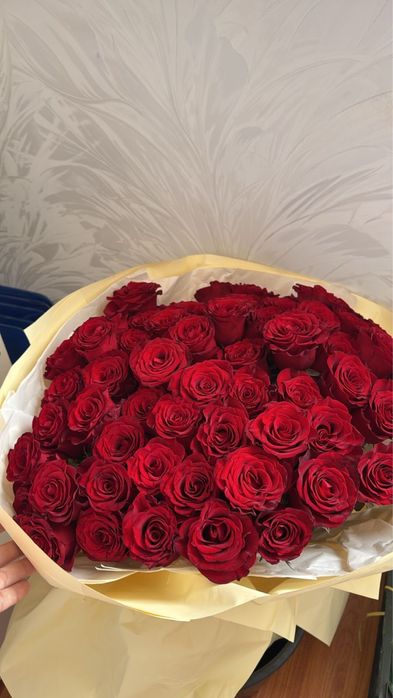 Қызыл роза сатылады 51штук