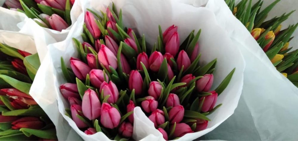 Тюльпаны на 8 Марта с оформлением 370