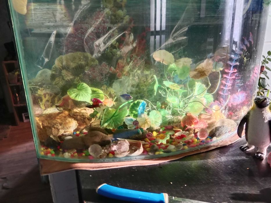 Продам аквариум 70л