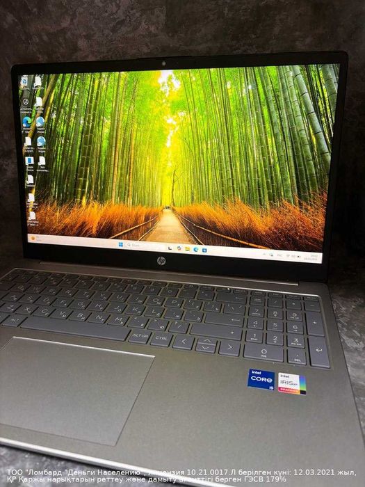 Ноутбук HP Петропавловск Назарбаева 252Д лот 933802