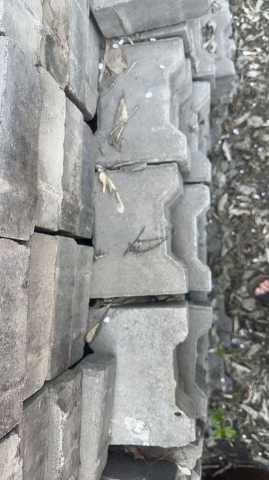 Бурчатка продаётся в хорошем состоянии