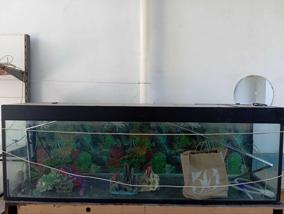 Akvarium sotiladi xolati yaxshi