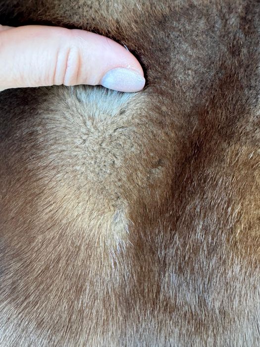 Продам шубу из меха норки