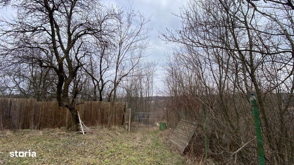 Teren cu panorama superba + padure Albota  Gura Vaii  Arges