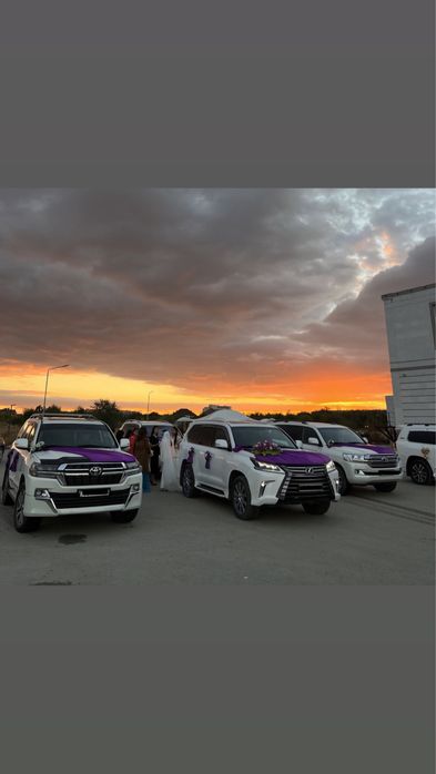 Аренда прокат VIP авто