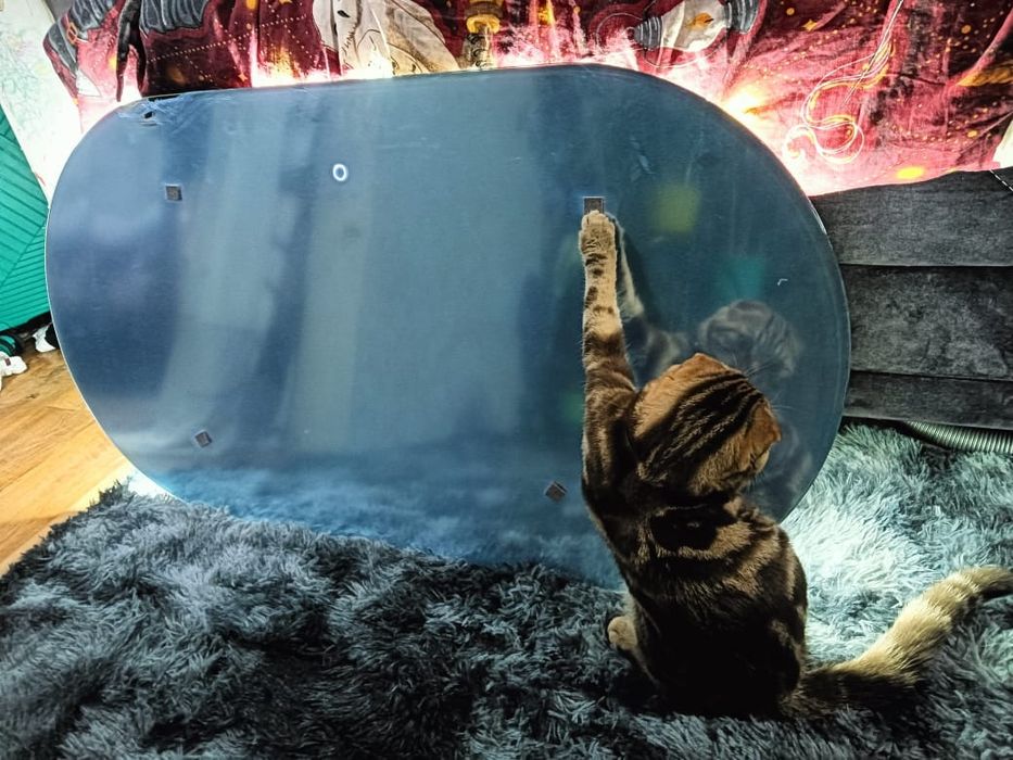 Продам новое зеркало