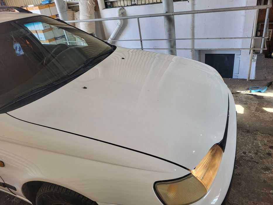 Карина Е 1995 год