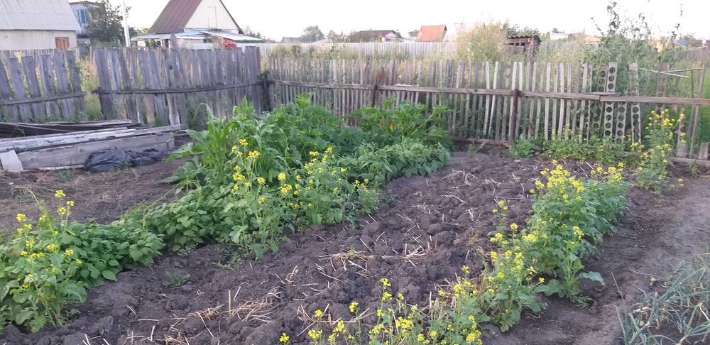 Дача федоровка с э/э