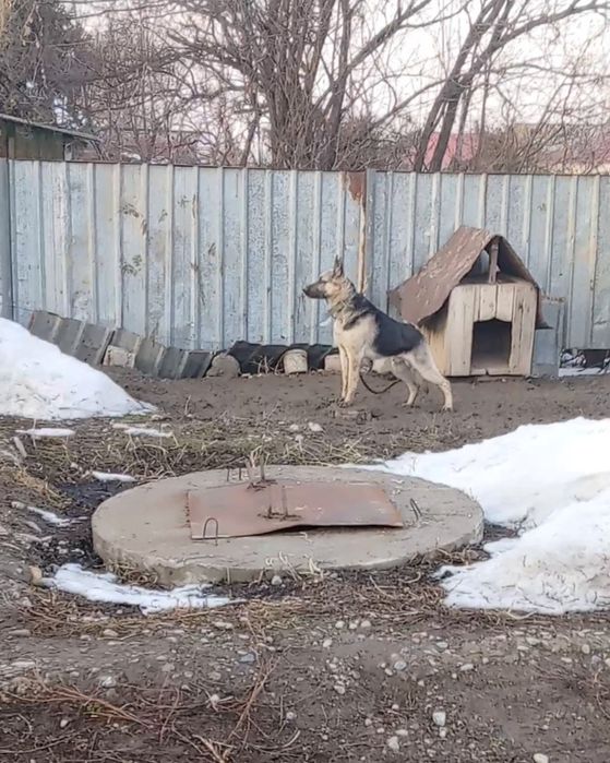 Продам Продам Продам