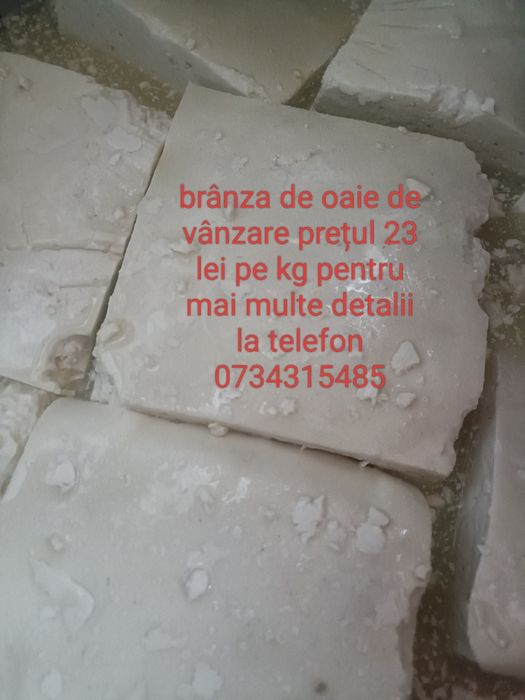 Brânza de oaie de vânzare