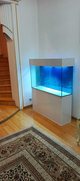 Akvariumlar sotiladi, bizda arzon va sifat