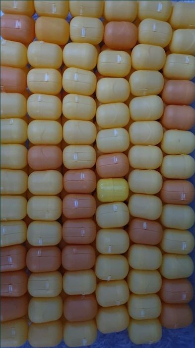 Capsule, Cutie Oua Kinder Maxi pentru diverse proiecte, activități