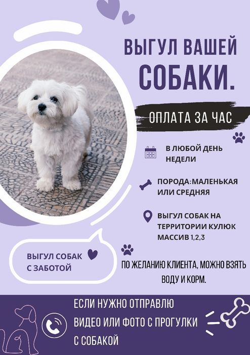 Выгул собак.на Кулюйке массив 1 2 и 3