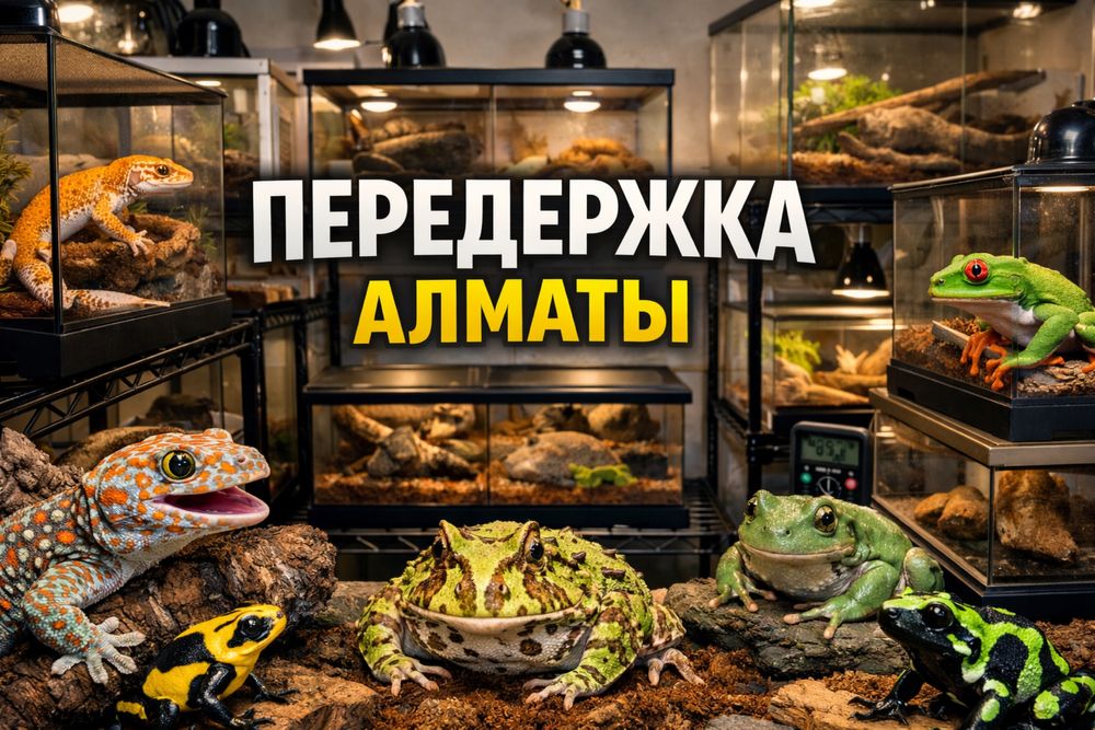 Зоогостиница для декоративных животных