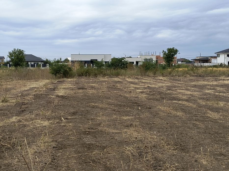 Inchiriere teren 1657 mp Tunari Ilfov